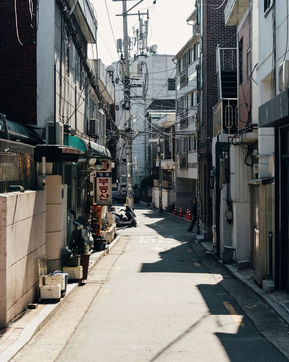 동네 산책 룩을 입힌 서울 골목 사진