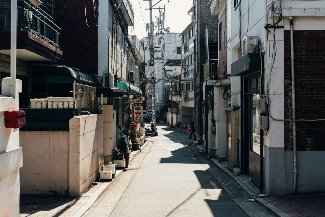 한낮의 동네 골목, 동네 산책 룩